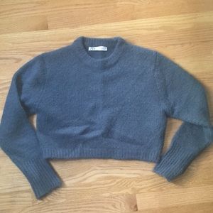 Zara S Cropped Sweatshirt